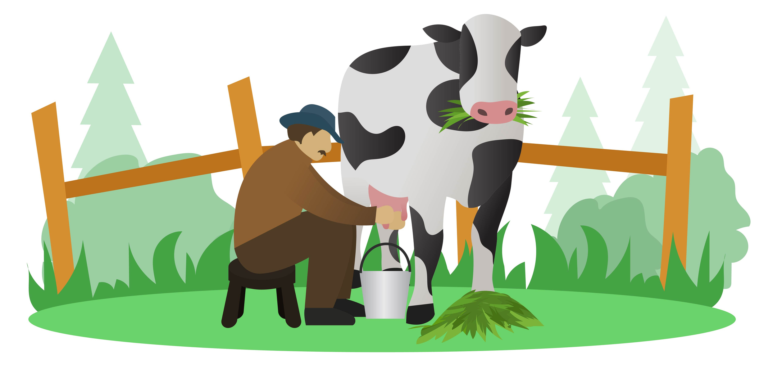 Cow and Buffalo Milk